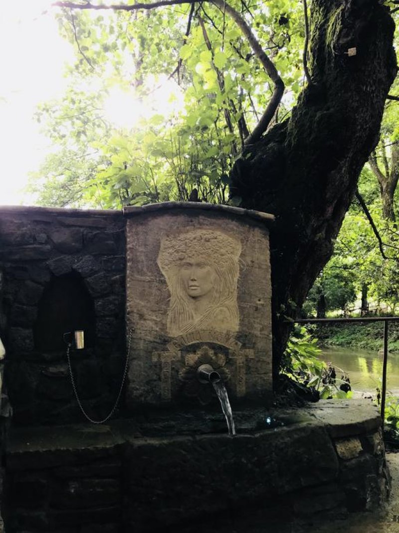 Хотелски комплекс Дивеците - Снимка 10