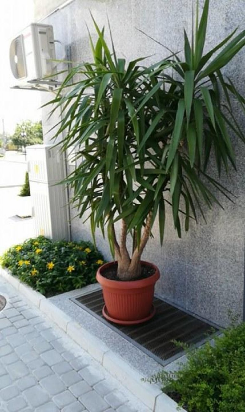 Апартхотел Астория - Снимка 1