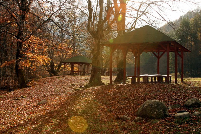 Комплекс Грийн Вилидж - Снимка 8