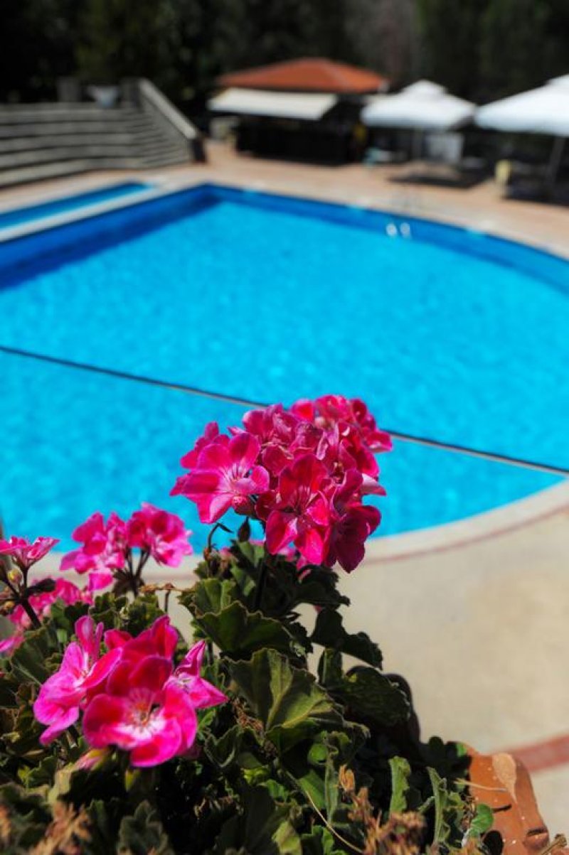 Alexander the Great Beach Hotel - Снимка 8