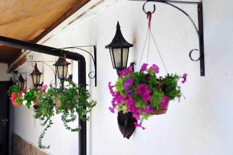 Семеен хотел Ловна среща - Снимка 1