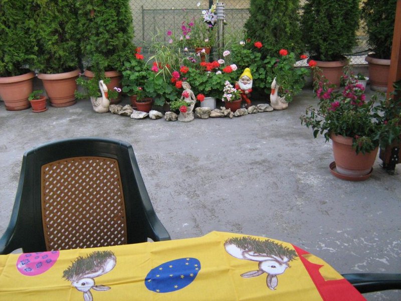 Къща за гости Таня - Снимка 8