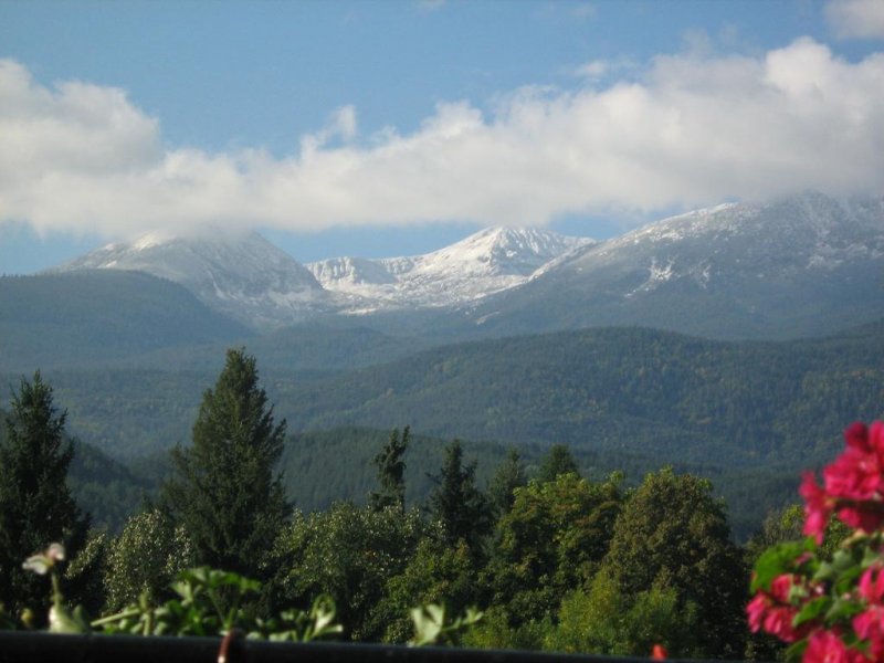 Къща за гости Таня - Снимка 4