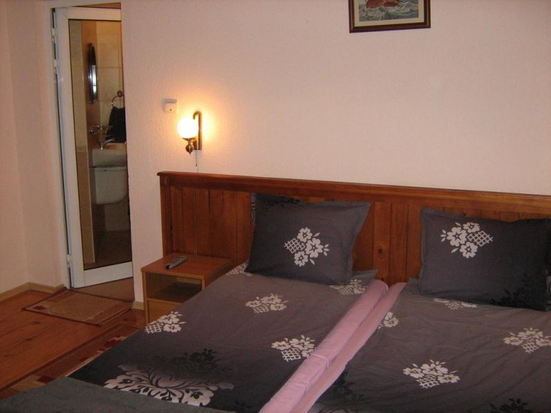 Къща за гости Таня - Снимка 11