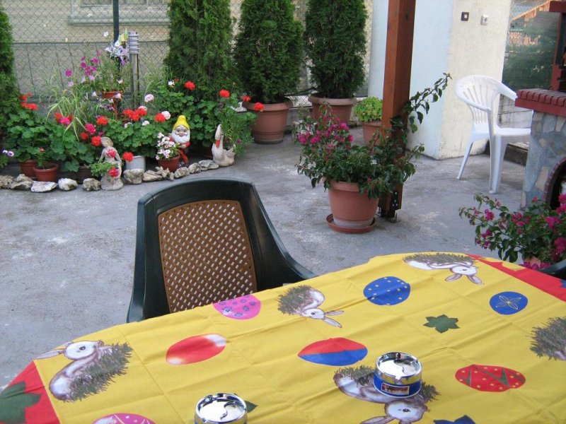 Къща за гости Таня - Снимка 4