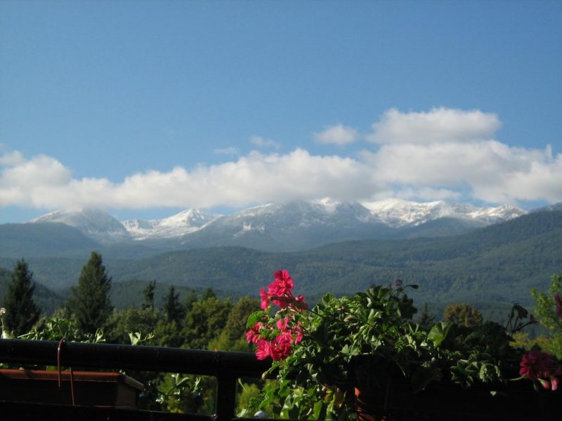 Къща за гости Таня - Снимка 10