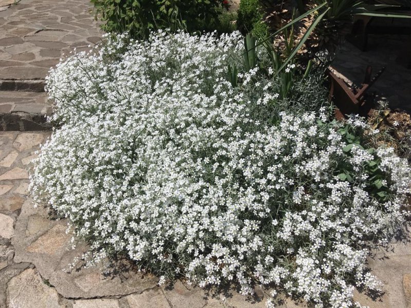 Хотел Старата Тонина Къща - Снимка 7