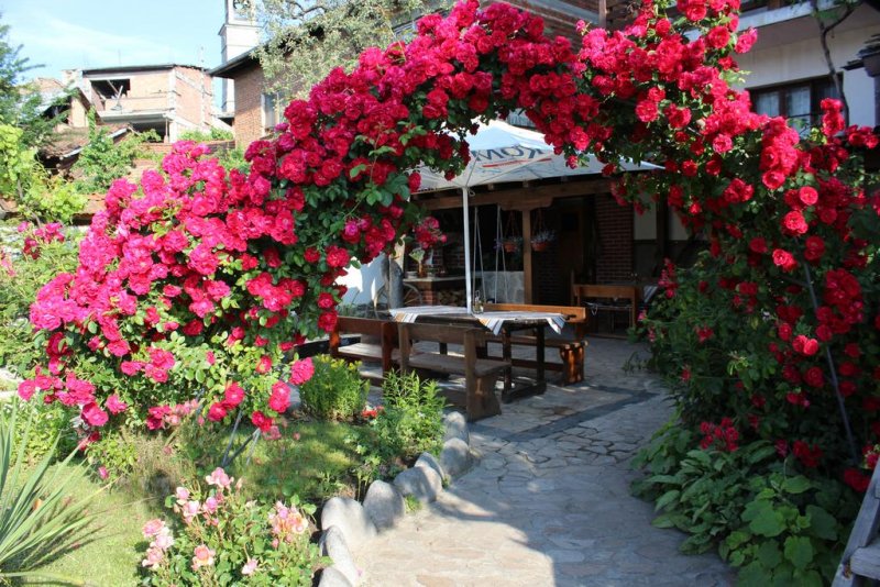 Хотел Старата Тонина Къща - Снимка 10