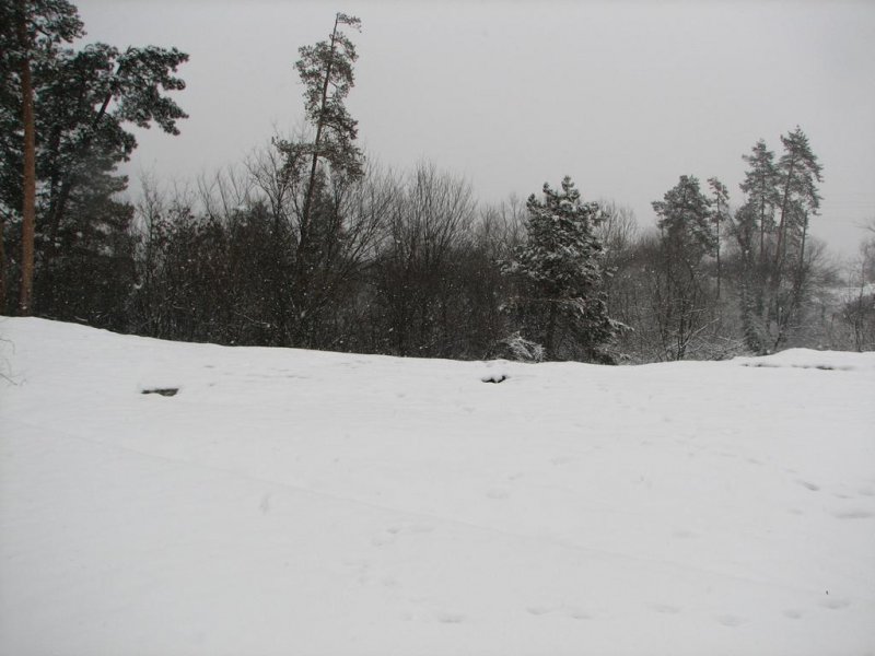 Семеен Хотел Калифер - Снимка 8