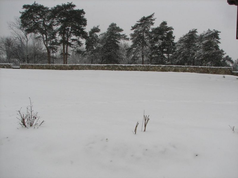 Семеен Хотел Калифер - Снимка 9