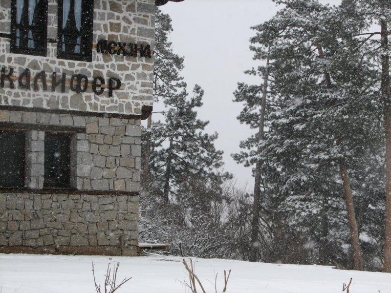 Семеен Хотел Калифер - Снимка 8