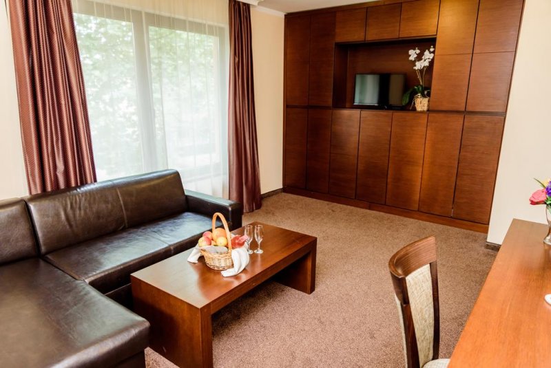 Хотел Медикус СПА и Балнео - Снимка 8