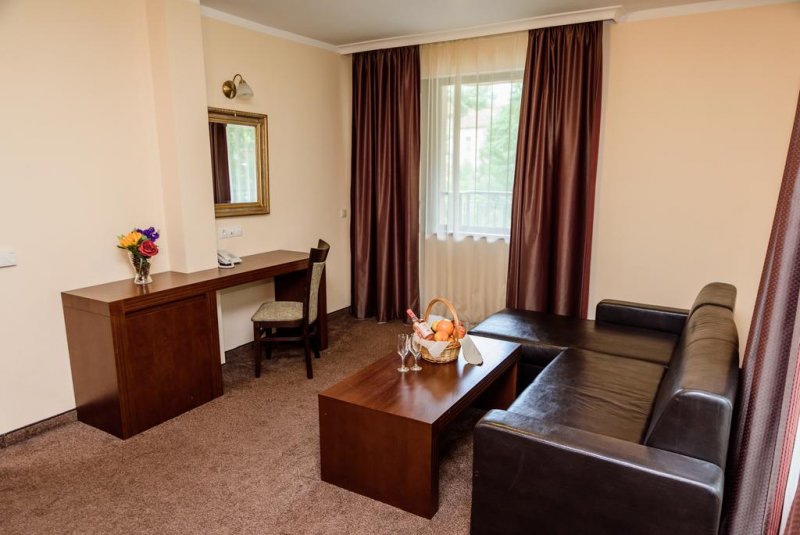 Хотел Медикус СПА и Балнео - Снимка 10