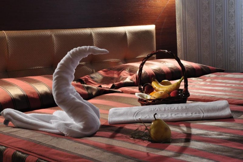 Хотел Медикус СПА и Балнео - Снимка 10