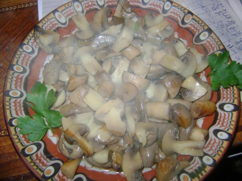 Къща за гости Тодорини къщи - Снимка 3