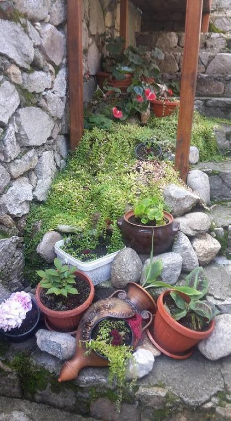 Къща за гости Тодорини къщи - Снимка 7