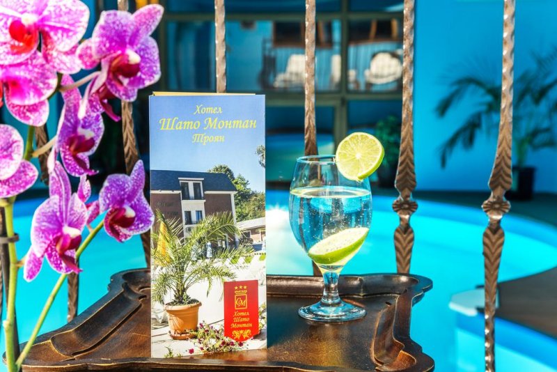 Хотел Шато Монтан - Снимка 10