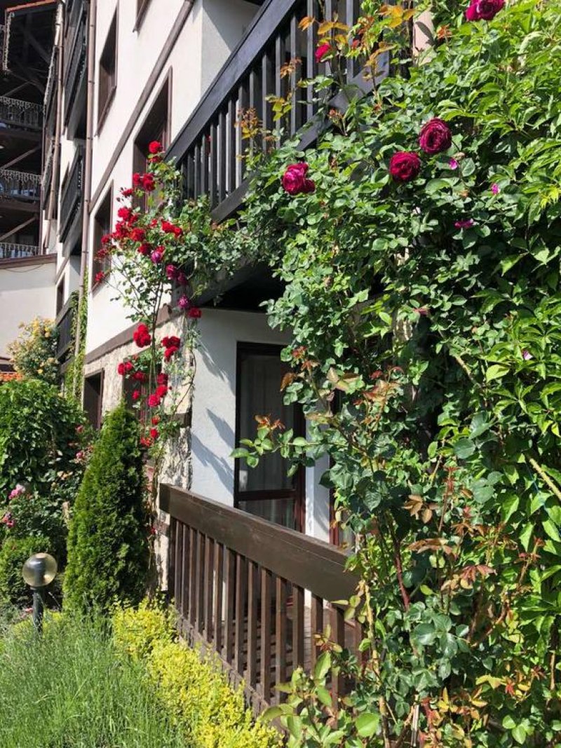 Хотел Зара - Снимка 7