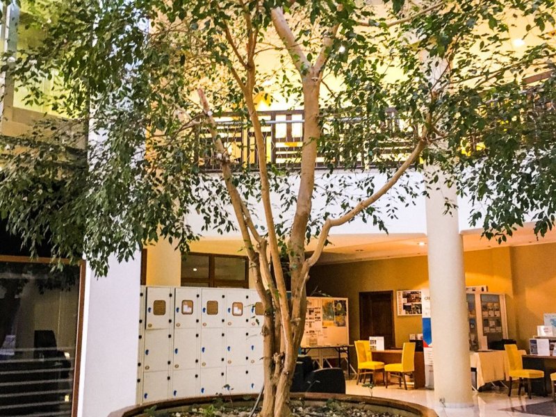 Aristoteles Holiday Resort & Spa - Снимка 4