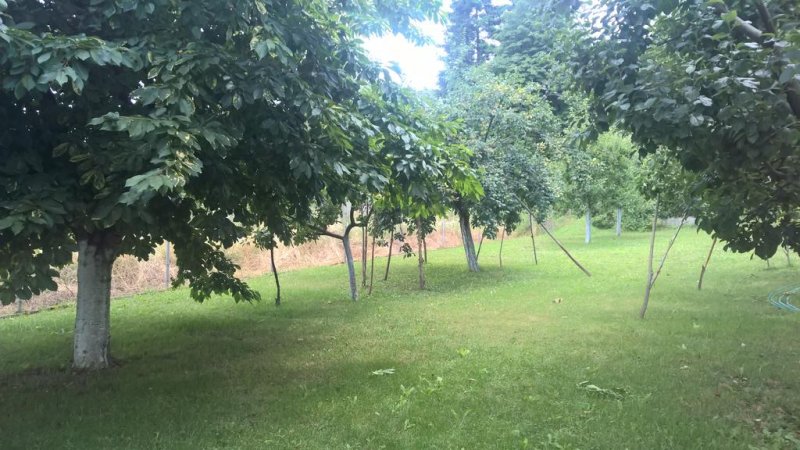 Къща за гости Кот Гардън - Снимка 3