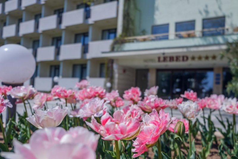 Хотел Лебед - Снимка 1