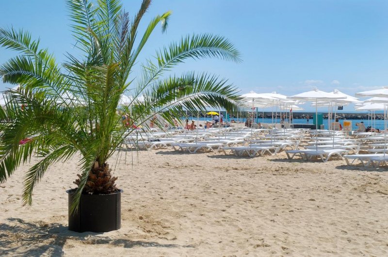 Хотел Лебед - Снимка 10