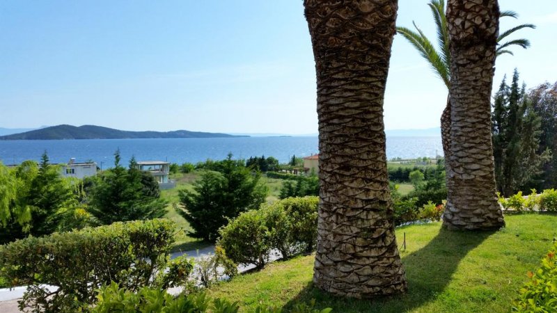 Alexandros Palace - Снимка 9