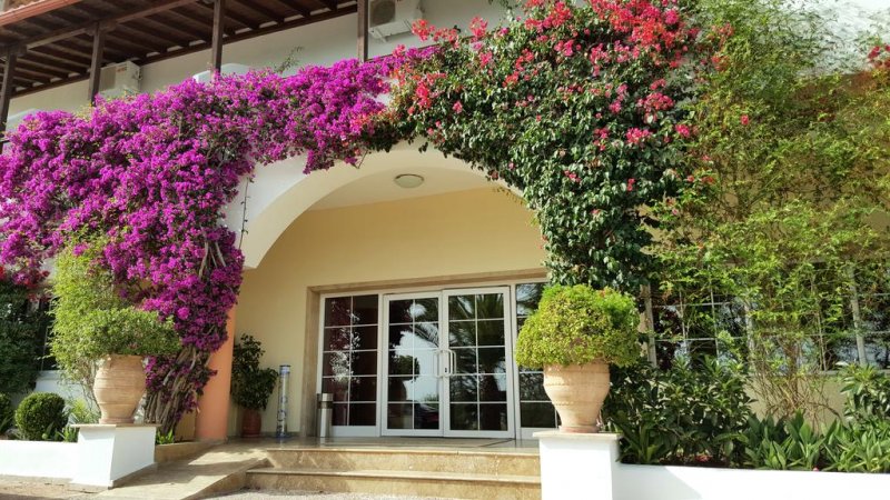 Alexandros Palace - Снимка 8