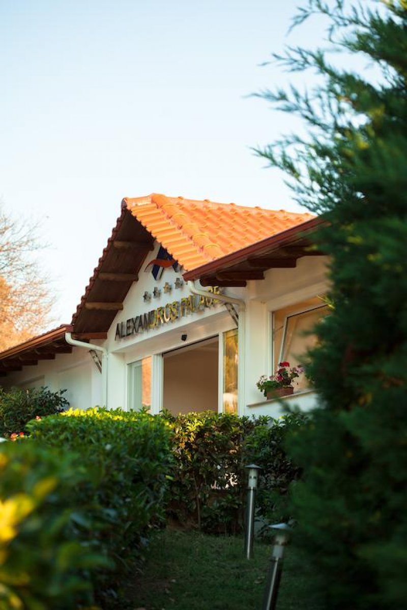 Alexandros Palace - Снимка 3