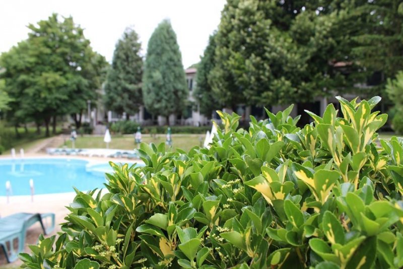 Хотел Здравец - Снимка 11