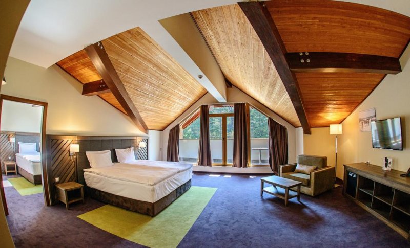 Хотел Хот Спрингс Медикъл и Спа - Снимка 11