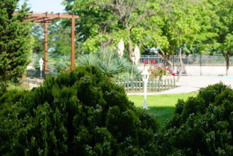 Хотел Арония - Снимка 8