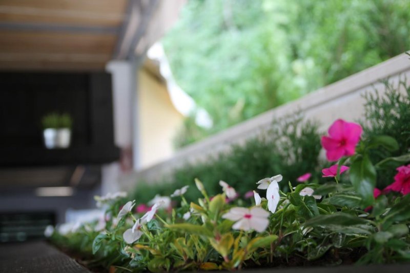 Хотел Луна - Снимка 9