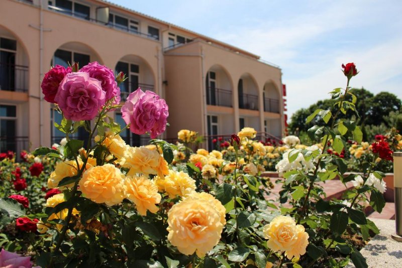 Хотел Хера - Снимка 9