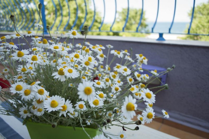 Хотел Гардън Бийч - Снимка 3