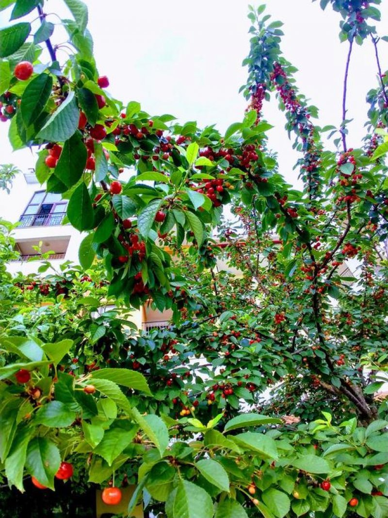 Комплекс Марина кейп - Снимка 4