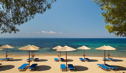 Ранни резервации: 5 нощувки със закуски и вечери в Blue Dolphin Hotel 4*, Халкидики, Гърция през Май!