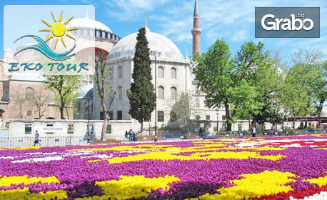 Посети Истанбул! 2 нощувки със закуски, плюс транспорт и възможност за посещение на Фестивала на лалето, от Еко Тур Къмпани