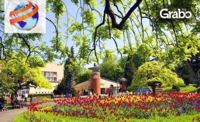 За 3 Март в Сърбия! 2 нощувки със закуски и вечери - едната празнична с Мирослав Илич, плюс транспорт, от Глобул Турс