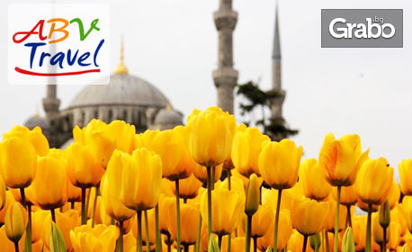 За Фестивала на лалето в Истанбул! 4 нощувки със закуски, плюс транспорт и посещение на парка Емирган и Одрин, от ABV Travels