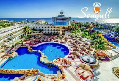 ЕГИПЕТ! Чартърен полет и трансфери + 7 нощувки в хотел Seagull Beach Resort 4*+ на база ALL INCLUSIVE на цена 877 лв.!