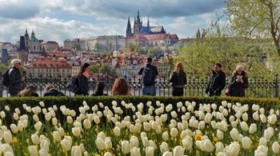 САМО 265 лв.! ПРАГА - ЗЛАТНИЯТ ГРАД! Транспорт с АВТОБУС + 3 нощувки със закуски в Прага + Посещение на шопинг градчето Парндорф + Водач