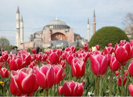 Фестивала на лалето в Истанбул 2020! Транспорт с автобус + 2 нощувки със закуски в хотели по избор 4 и 5* + Посещение на Принцовите острови + Посещение на Мол „FORUM + Екскурзоводско обслужване на цени от 166 лв. на Човек!
