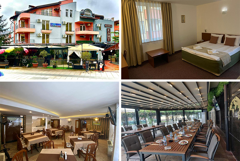 Еднодневен пакет със закуска или закуска и вечеря + минерален басейн и сауна в хотел Елит, Девин