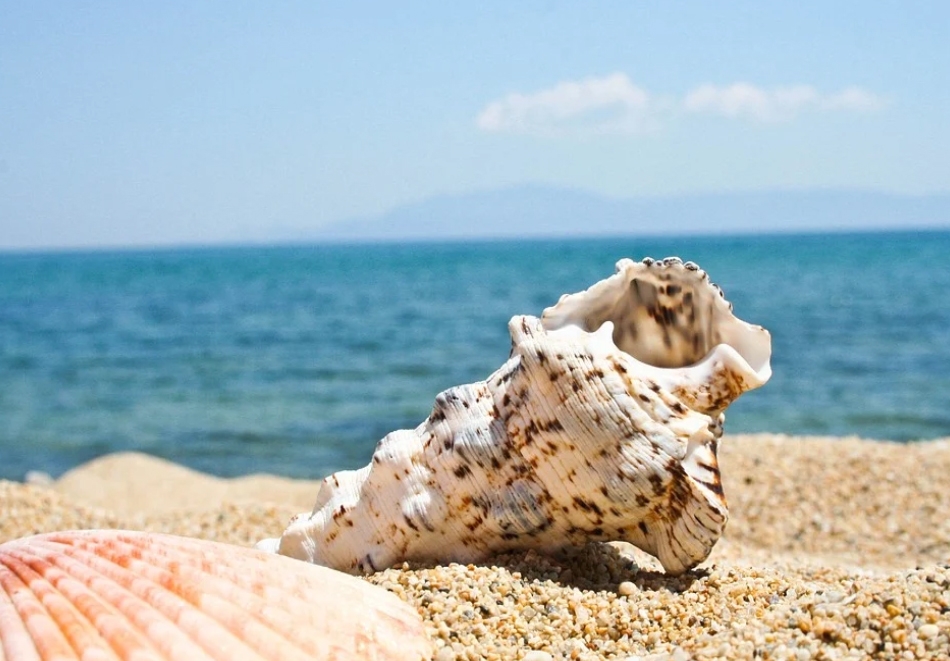 Еднодневна екскурзия за плаж в Амолофи, Гърция от АБВ Травелс