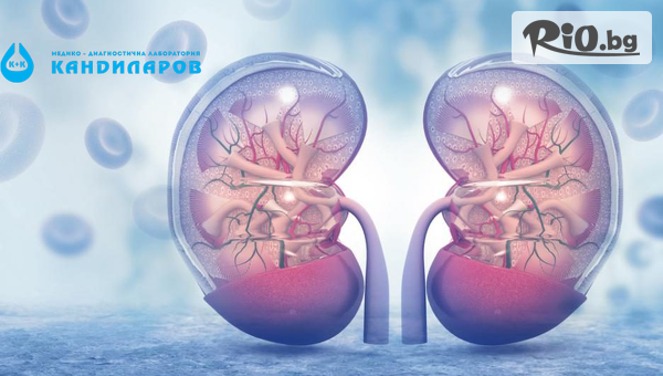 Погрижете се за вашето здраве с Пакет Бъбречна функция на супер цена, предоставено от СМДЛ Кандиларов