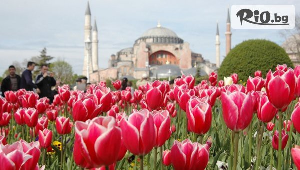 ТОП ЦЕНА: Уикенд Екскурзия за Фестивал на Лалето в Истанбул! 3 нощувки със закуски + автобусен транспорт, екскурзовод и посещение на Одрин