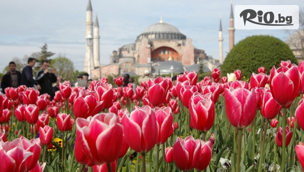 Екскурзия за Фестивала на лалето в Истанбул! 2 нощувки със закуски в Hotel Yaztur в историческата част на Лалели + транспорт и посещение на парка Емирган и Одрин, от Караджъ Турс