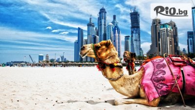 Самолетна екскурзия до Дубай! 4 нощувки със закуски и вечери в Хотел Ibis Al Barsha, Millenium Place Barsha Heights или Rose Park Al Barsha + трансфери и водач, от Далла Турс