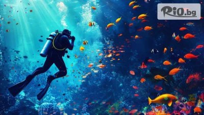 Сертифициран водолазен курс SDI Open Water Scuba Diver /20 учебни часа/ + международен сертификат във Водолазен център Due